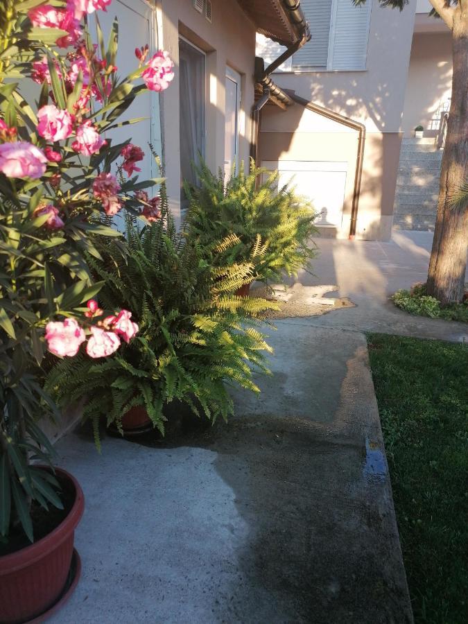 Villa Ros Guest House Svilengrad Ngoại thất bức ảnh
