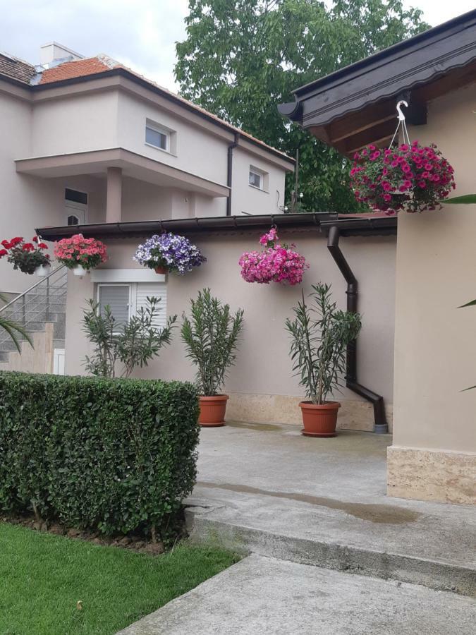 Villa Ros Guest House Svilengrad Ngoại thất bức ảnh