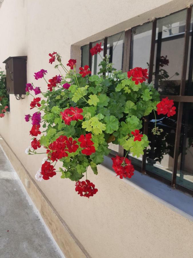 Villa Ros Guest House Svilengrad Ngoại thất bức ảnh