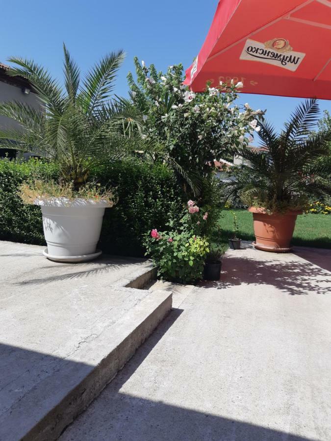 Villa Ros Guest House Svilengrad Ngoại thất bức ảnh