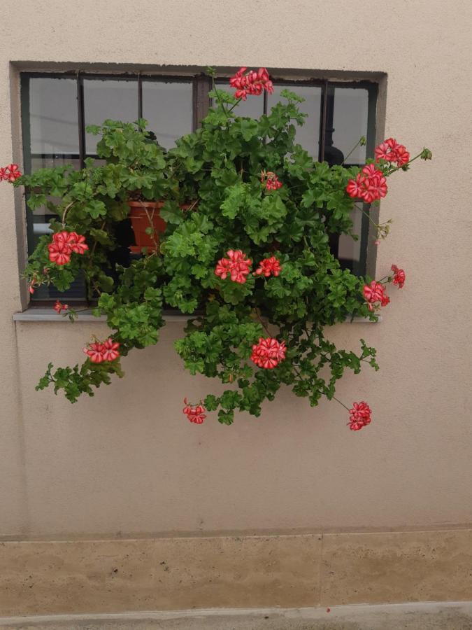 Villa Ros Guest House Svilengrad Ngoại thất bức ảnh